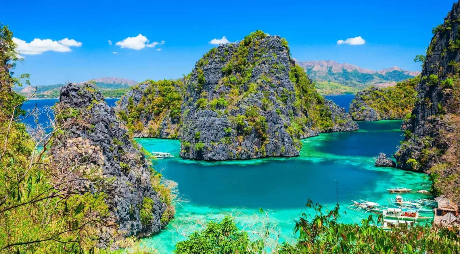 Panoramic view of Coron's lagoons from an elevated viewpoint, with karst formations and turquoise bays stretching to the horizon